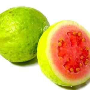 Buy Pineapple Guava From Ty Ty Nursery