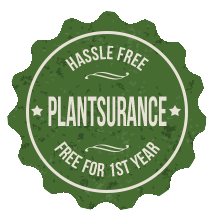 Ty Ty Nursery Plantsurance Policy